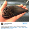 This fisherman tweets all of the horrific creatures he finds in the sea, and it's pure nightmare fuel