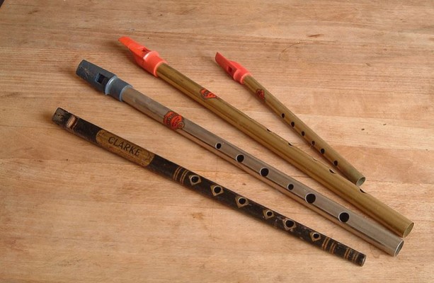 10 Memories All Irish People Have Of Learning And Giving Up The Tin Whistle