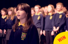 This little girl from Co Down's amazing cover of Hallelujah is going viral around the world