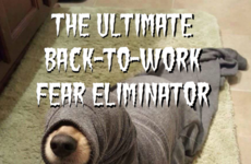 The Ultimate Back-to-Work Fear Eliminator