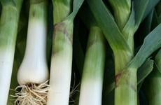 GIY: For first-time vegetable growers, leeks are an easy and tasty option