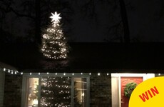 This couple bought a 20ft Christmas tree and cut it in half so it looks like it goes through the roof