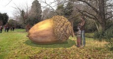 The People's Acorn: Giant artwork planned for grounds of Áras to commemorate 1916