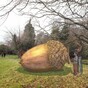 The People's Acorn: Giant artwork planned for grounds of Áras to commemorate 1916