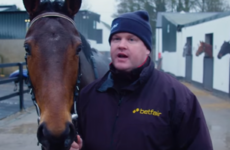 5 Gordon Elliott horses to keep a close eye on over Christmas