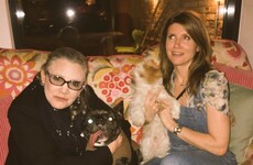 Carrie Fisher is in intensive care with her dog by her side after a heart attack on a flight