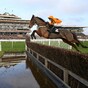 5 races you really won't want to miss this St Stephen's Day