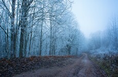 It's going to be cold and windy today with temperatures dropping below freezing tonight