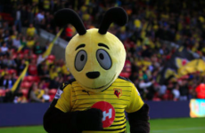 The man who kicked the Hornet's nest: Big Sam says Watford mascot was 'out of order'