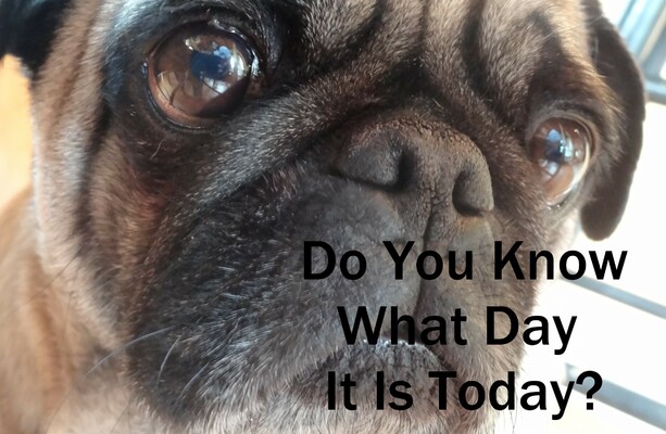 Do You Know What Day It Is Today? · The Daily Edge