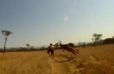 These are the 5 most viewed sports videos in 2011