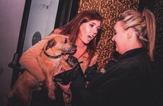 This photo of a girl trying to sneak her dog into a Monaghan nightclub is class