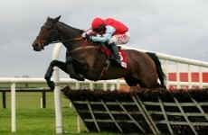 'I was devastated' says Betfair chief after Leopardstown blunder
