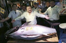 A businessman in Japan has paid over €600,000 for a single fish