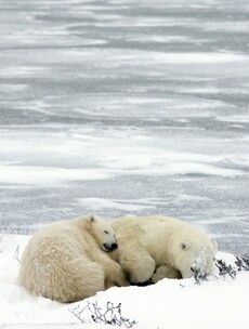 It's official: The so-called hiatus in global warming is a myth