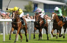 Why 2017 could be a make-or-break year for the bloodstock industry