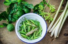 Cricket powder and getting over the 'gross factor' - the unlikely business of edible insects