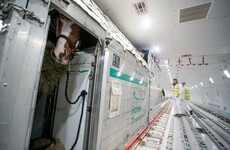 Chinese billionaire orders airlift of 76 thoroughbred Irish horses to Asia
