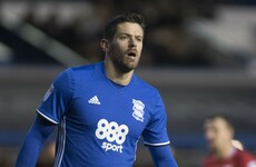 Birmingham striker Jutkiewicz would 'embrace' an Ireland call-up