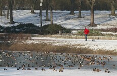 Six more die as -20 degree temperatures sweep across Poland