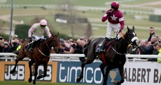 'Real sickener' as Cheltenham Gold Cup champ Don Cossack retired