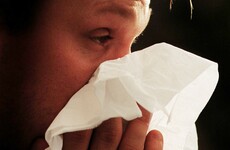 Flu epidemic will peak in the next two weeks