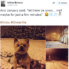It snowed for all of 15 minutes in Ireland today and '#sneachta' started trending on Twitter