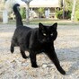 Poll: It's Friday the 13th. Do you care?