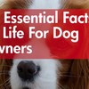 14 essential facts of life for dog owners