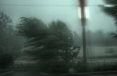 Severe weather warning issued as fallen trees block roads
