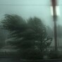 Severe weather warning issued as fallen trees block roads