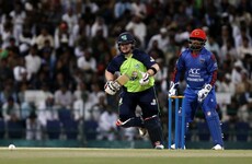 New year, same problems: Ireland's T20 shortcomings exposed in desert defeat