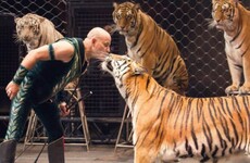 "The Greatest Show on Earth" to wind up after 146 years
