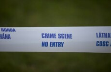 Man killed in Dublin attack this morning