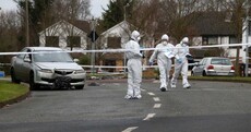 Lucan murder victim may have been stabbed and run over with car