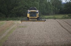 Tillage farmers call for 'humanitarian' relief after the loss of entire crops in dire harvest