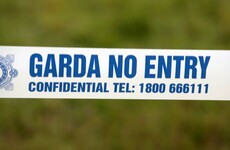 Man dies after shooting on grounds of Limerick hospital