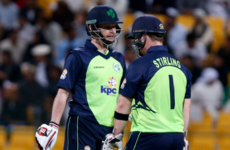 Ireland collapse in spectacular fashion as they suffer Afghanistan mauling in T20 final