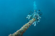 A massive undersea cable will be built between Dublin and Paris