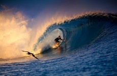 Wipeout: Surfers to be drug-tested