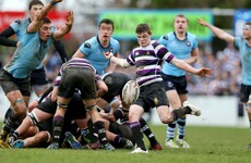 21-year-old Tim Schmidt chasing the professional dream with Toulouse