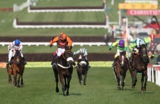 Long Run plugs out to boost Cheltenham chances