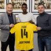 Dortmund spend €10m on the youngster dubbed 'the next Zlatan'