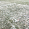 League One club sack groundsman of 27 years after frozen pitch caused fixture postponement