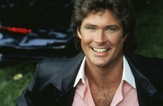 New species of crab dubbed 'The Hoff' due to hairy chest