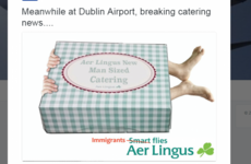 Backlash after Ryanair mocks Aer Lingus link to illegal immigrants