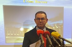 'It has saved lives': Gardaí uncover cache of loaded guns in west Dublin warehouse
