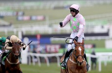 Another Cheltenham champion ruled out as Annie Power to miss Champion Hurdle