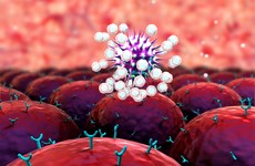 Irish scientists' breakthrough could lead to virus immunity