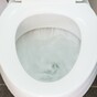 Condoms, food and nappies - these are among the things being flushed down Irish toilets